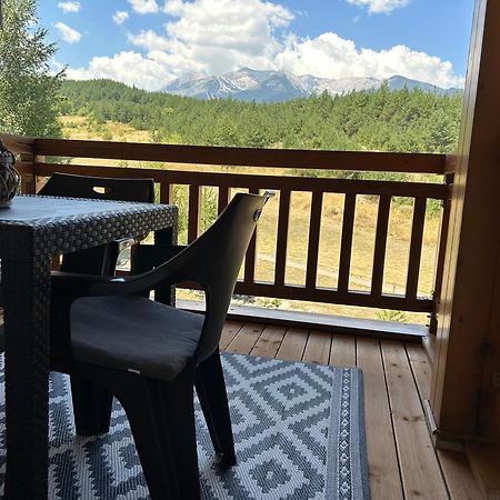 Pm Mountain View Fireside Retreat Bansko Daire Dış mekan fotoğraf