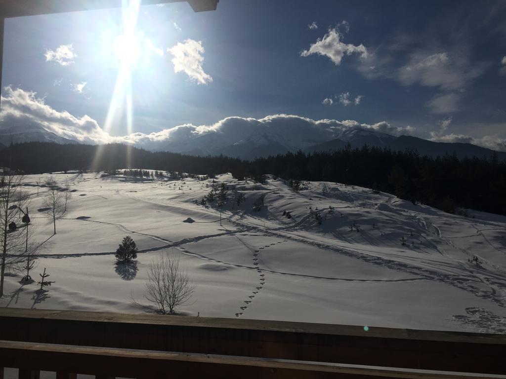 Pm Mountain View Fireside Retreat Bansko Daire Dış mekan fotoğraf